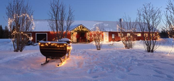 Lapland Santa Experience